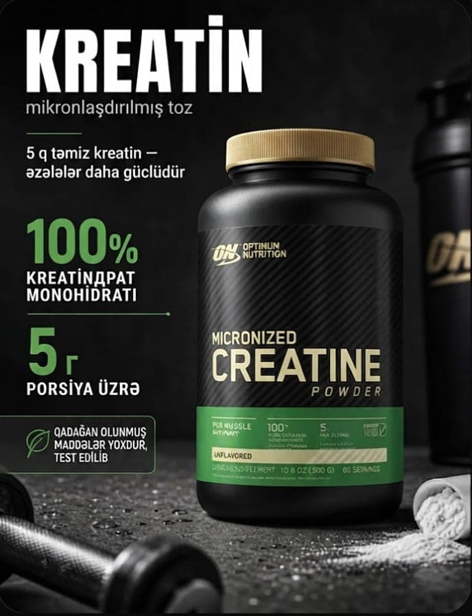 Optimum Nutrition Micronized Creatine Powder